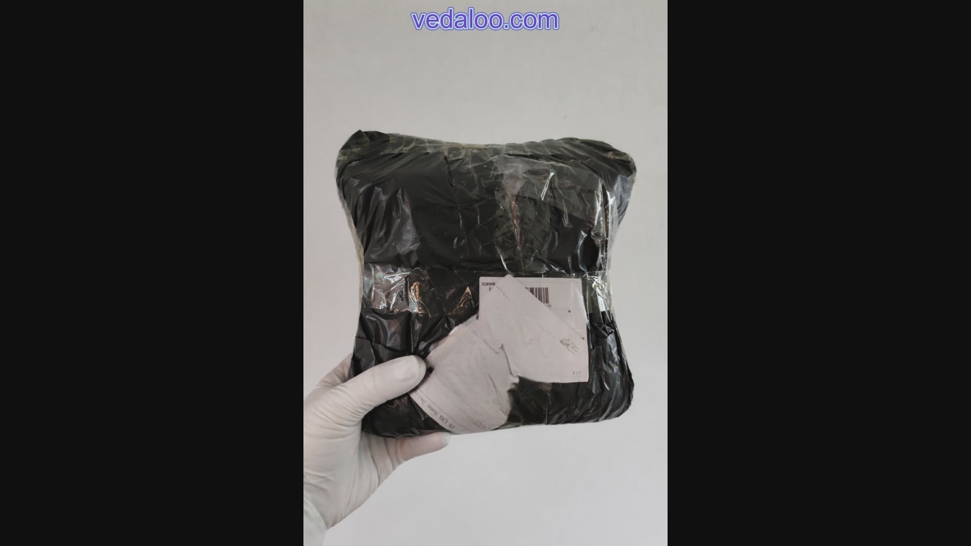 Charger la vidéo : 